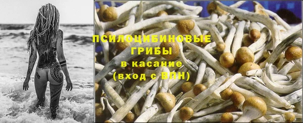 альфа пвп Заводоуковск