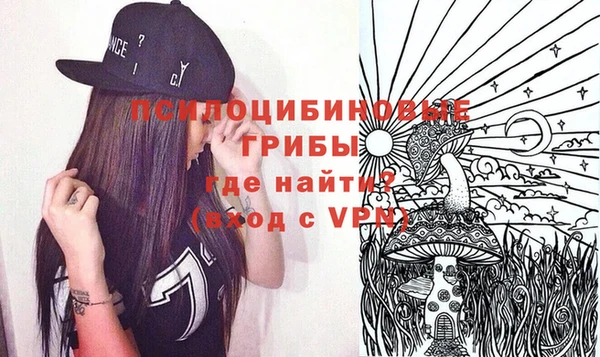 альфа пвп Заводоуковск